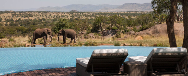 5 Days Tanzania Safari