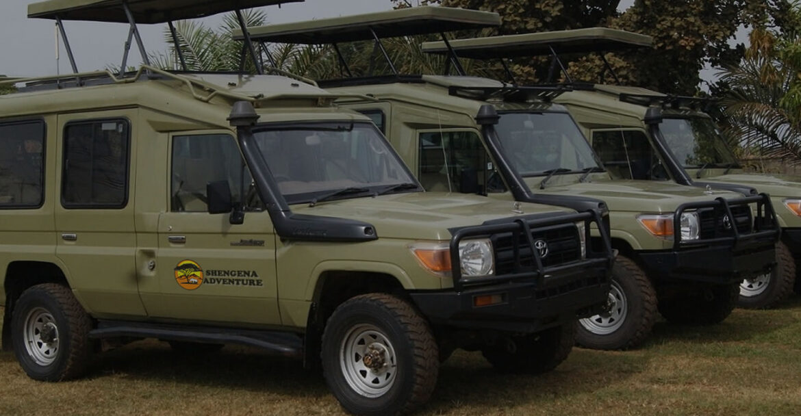 Unforgettable Tanzania trips