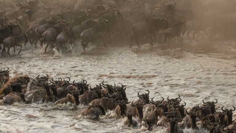 9 days – Tanzania Deluxe Safari