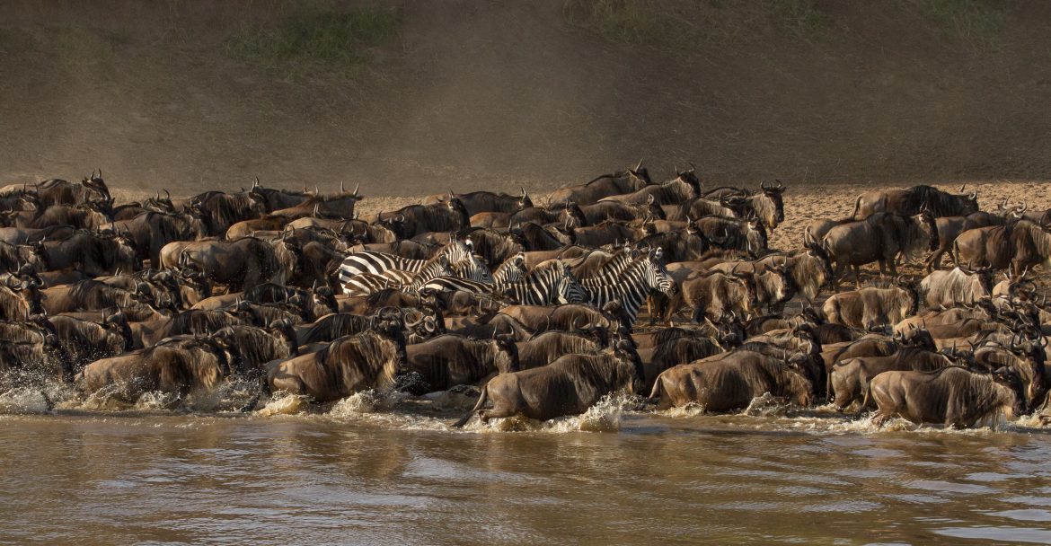 7-Day Great Migration Luxury Safari Tanzania