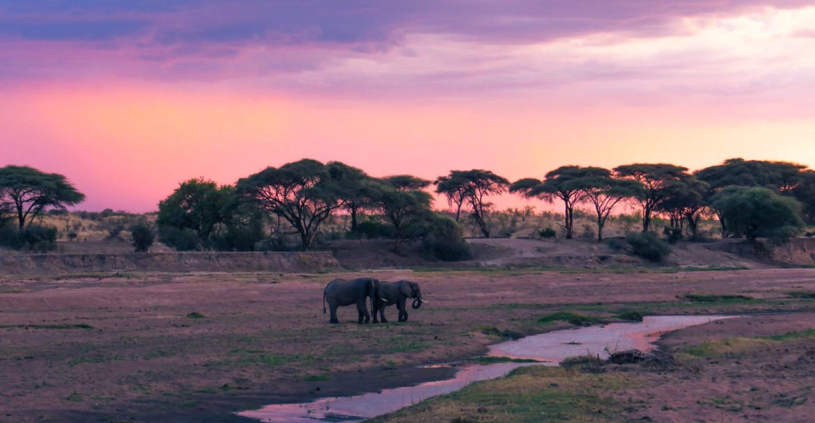 9 days – Tanzania Deluxe Safari