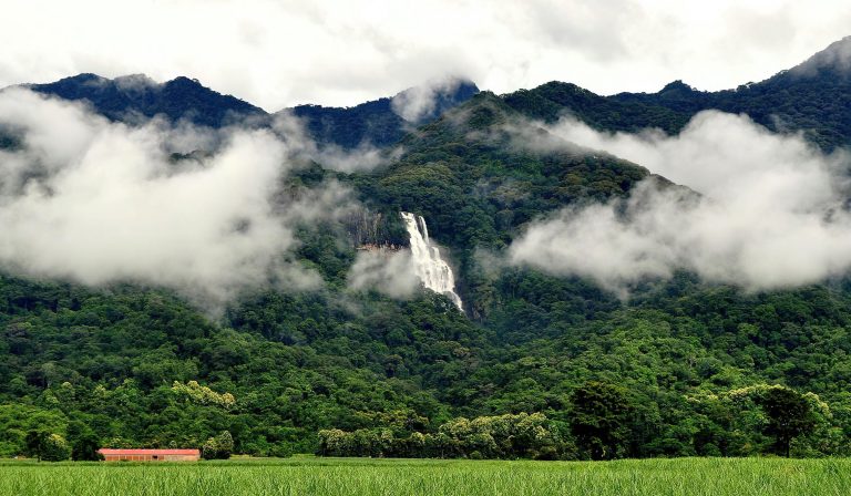 Udzungwa National Park 