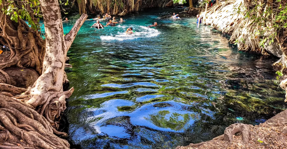 Hot Spring Day Trip