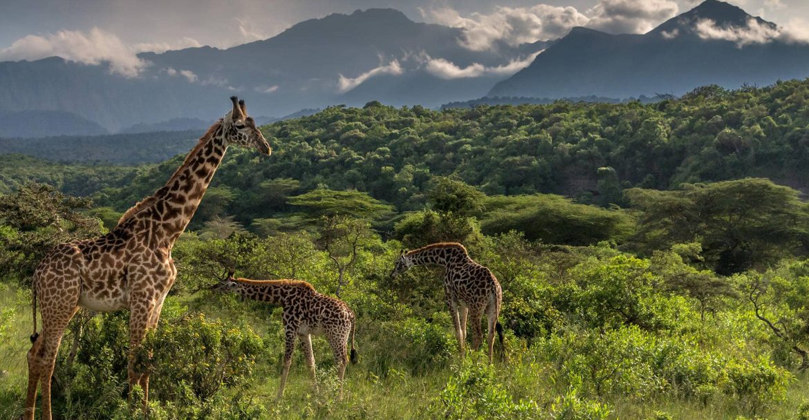 Unforgettable Tanzania trips