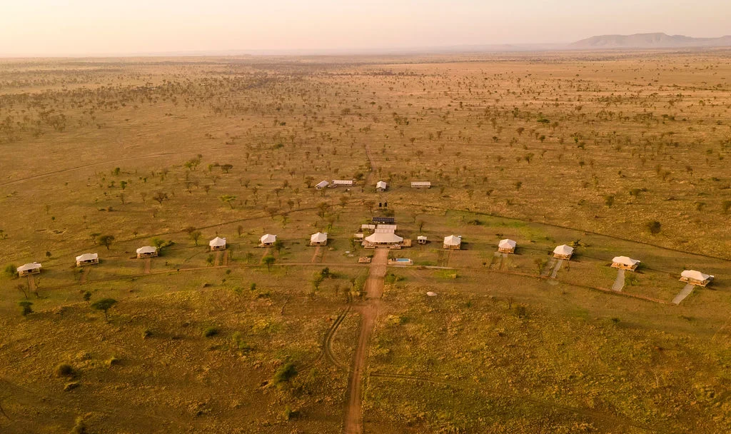 3-Day Fly-in Serengeti Safari Tours