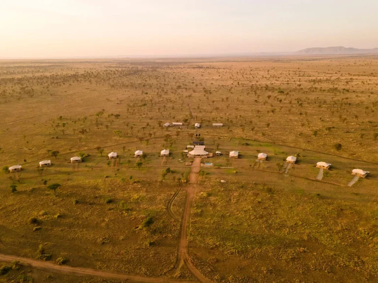 3-Day Fly-in Serengeti Safari Tours