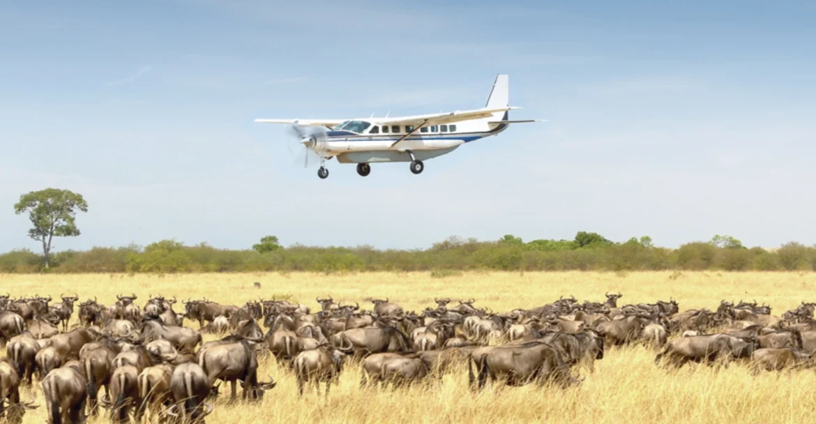 4-Day Zanzibar to Serengeti Fly-in Safari Adventure