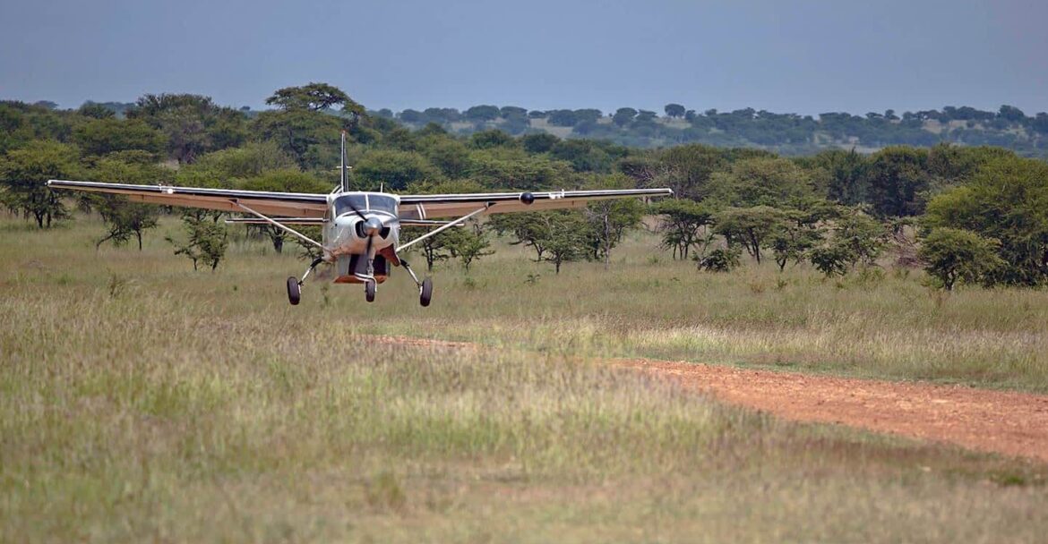 2-Day Serengeti Fly-in Safari from Zanzibar